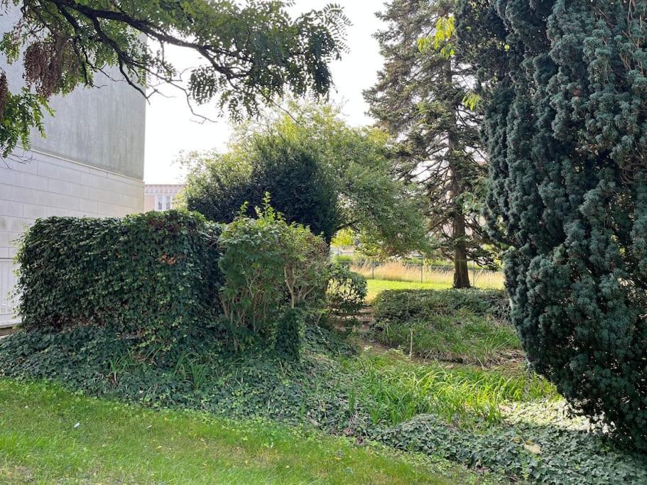 Gites Maisons De Champagnes ランス エクステリア 写真